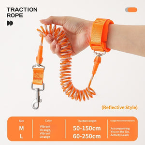 360 degree swivel hook on an elastic coiled dog leash