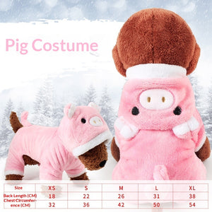 Lucky cat costume for pets