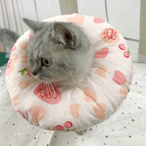 Cartoon fashion collar for indoor cats