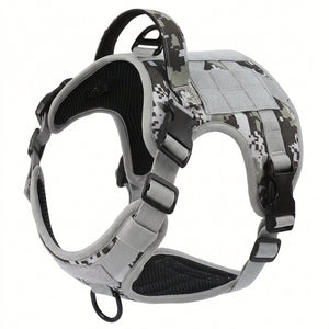 Dog wearing tactical harness vest during training