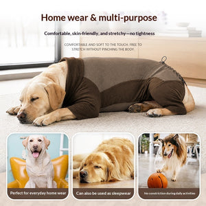 Brown Dog Sweater for Chilly Weather and Outdoor Wear