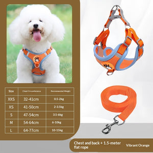 Reflective Dog Leash Option for Evening Walks