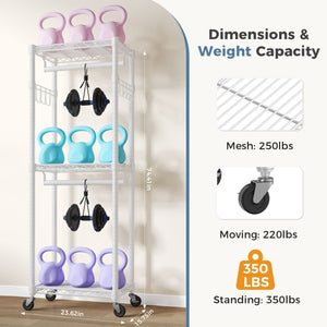 Fitness storage rack with weights and dimensions displayed on a white background