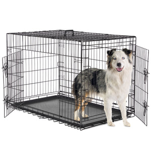 Stylish Indoor Metal Dog Kennel by ByAzora for Home Training
