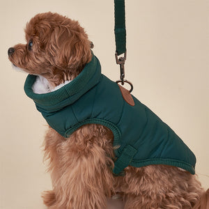 Comfortable Cotton Pet Jacket for Winter Adventures