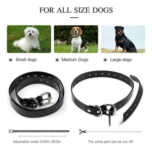 adjustable fit dog training collar for all sizes