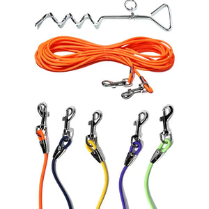 Backyard dog tether system for safe outdoor freedom