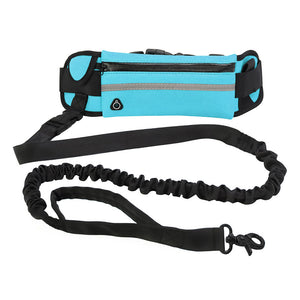 Heavy Duty Dog Training Leash