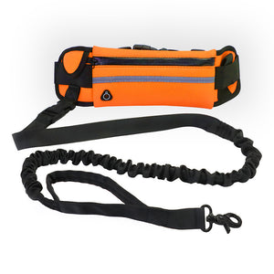 Dog Walking Belt with Phone Pocket