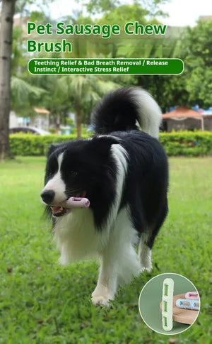 Dog chew toy for teeth cleaning and gum care