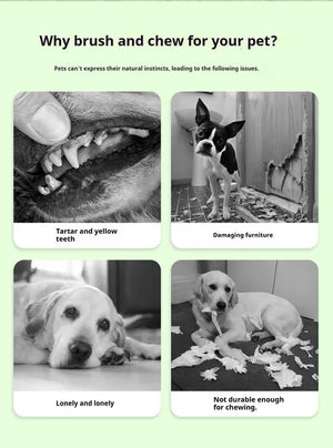 Durable dog dental chew toy for healthy teeth