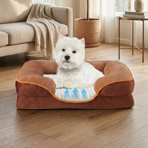 dog sleeping comfortably on orthopedic memory foam pet bed for joint support