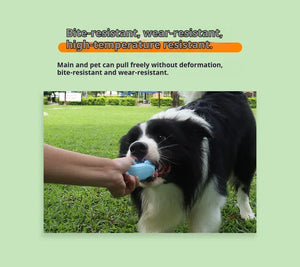 Dog teeth cleaning toy with textured chewing surface