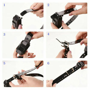 electric shock and vibration dog training collar