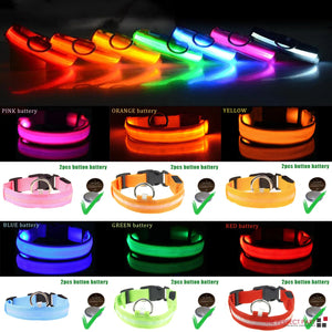 LED Light-Up Dog Collar for Nighttime Walks