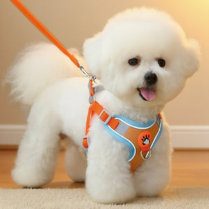 Stylish Vest-Style Dog Harness and Leash Set for Small Dogs
