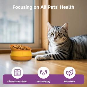 Five in one pet feeding station for cats and dogs