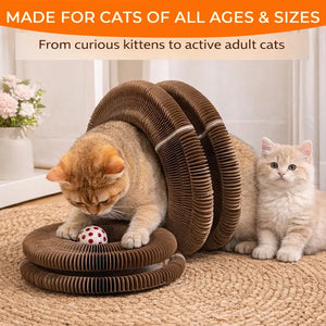 Foldable interactive cat toy for indoor cats