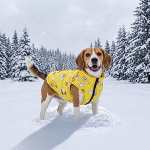 dog winter coat with a cartoon print and black zipper trim,