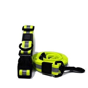 High visibility dog leash for night walks and training