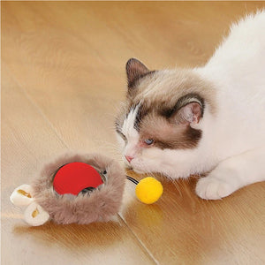 Interactive rolling ball toy for cats
