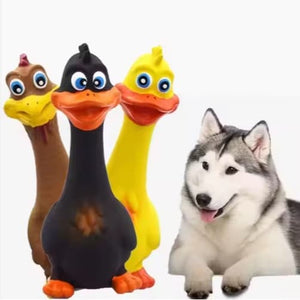 : Latex screaming duck dog toy with squeaky sound