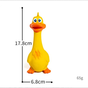 Squeaky dog chew toy for boredom relief