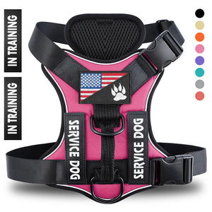 Text: washable durable dog harness vest with quick release buckle