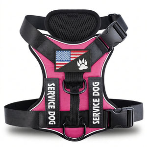 Text: washable durable dog harness vest with quick release buckle