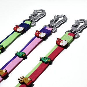 Waterproof dog leash set with colorful DIY decorative accessories