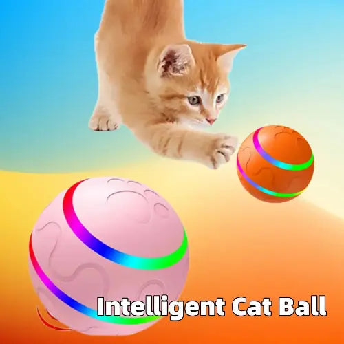 Interactive pet toys for dogs and cats designed for play, mental stimulation, exercise, and everyday fun