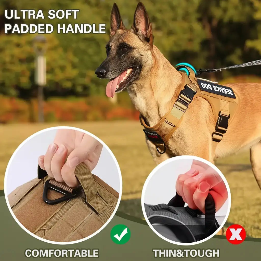 Modern Designer Pet Harness
