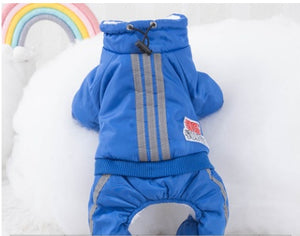 Adorable bear bib outfit for small dogs