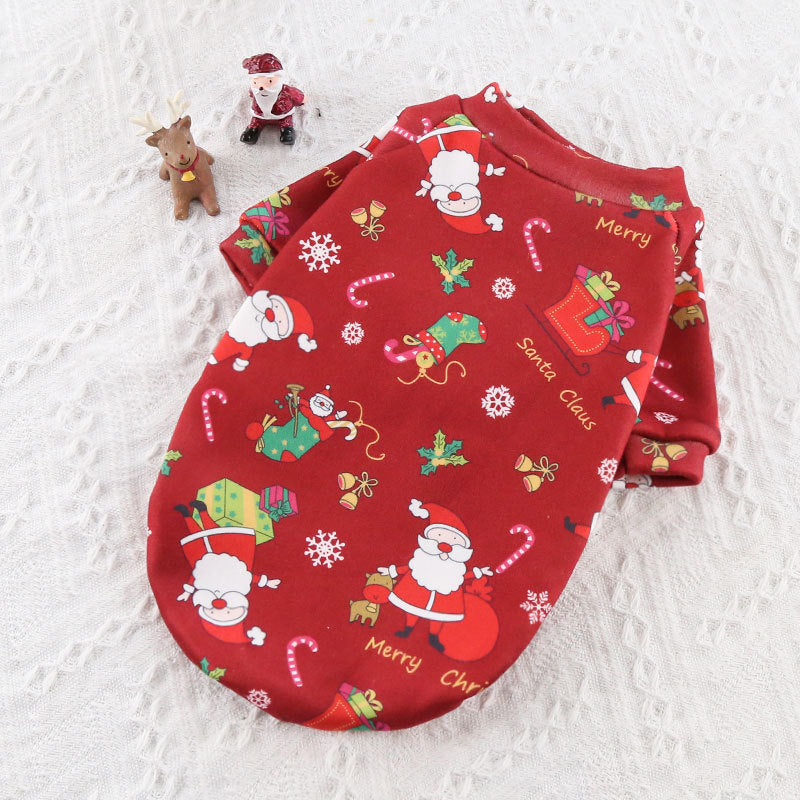 Festive Christmas costume for small dogs