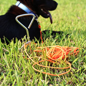 30FT outdoor dog leash for safe backyard and park use