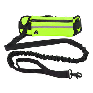 Reflective Hands Free Dog Leash