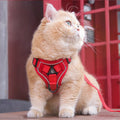 Adjustable Cat Harness Vest with Leash by ByAzora