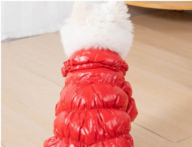Blue sporty winter dog jacket