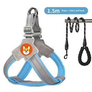 Comfortable Breathable Pet Harness with Reflective Leash for Daily Walks