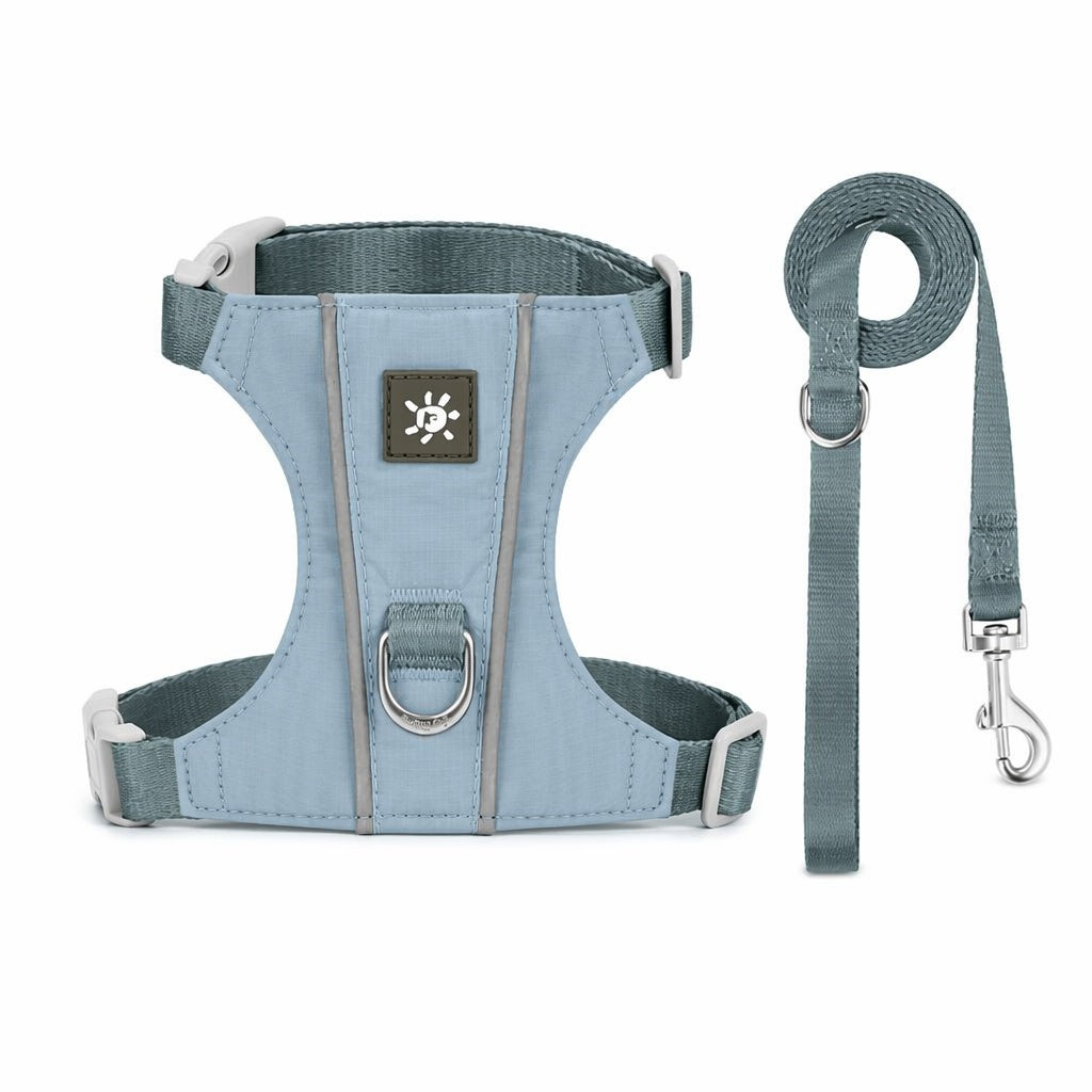 Small Cat Harness for Daily Walks
