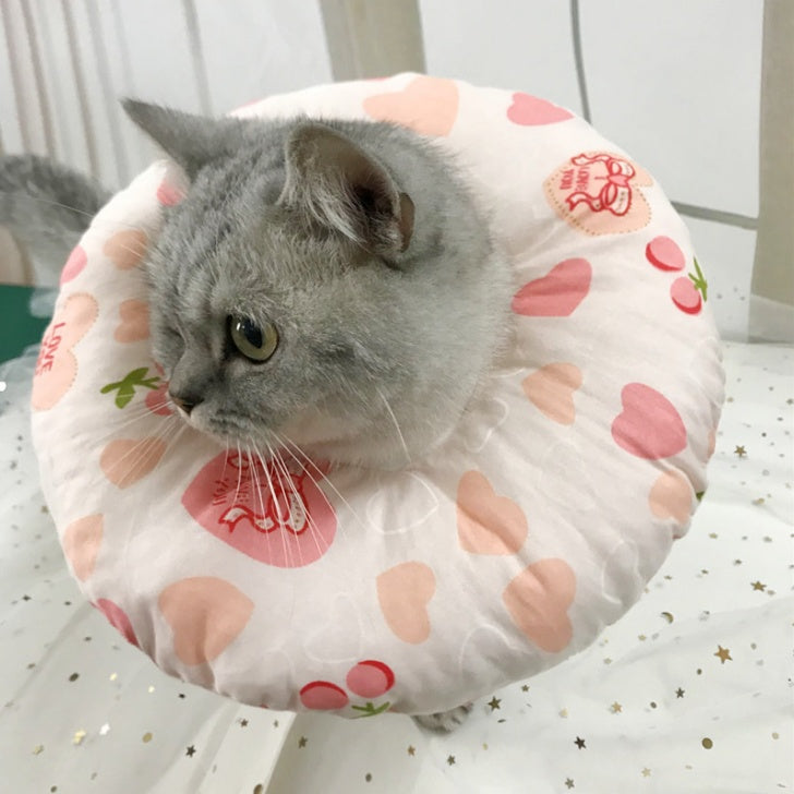 Cartoon fashion collar for indoor cats
