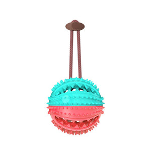 Interactive Suction Cup Dog Toy with Textured Chew Ball