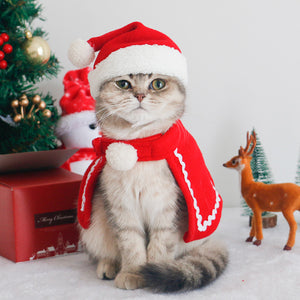 Snowflake Christmas pet cape for winter celebrations