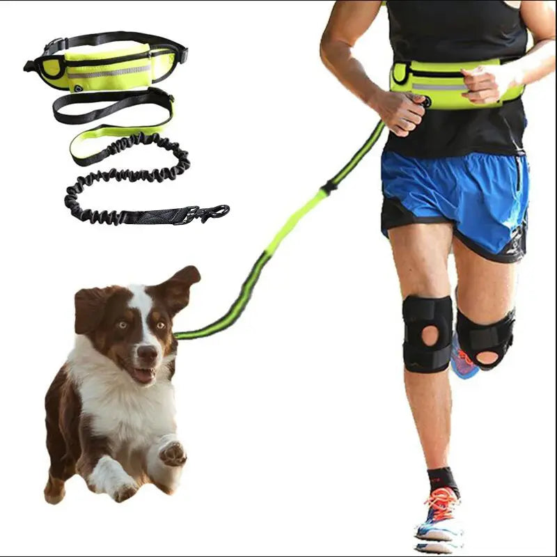 Hands Free Dog Leash with Running Belt