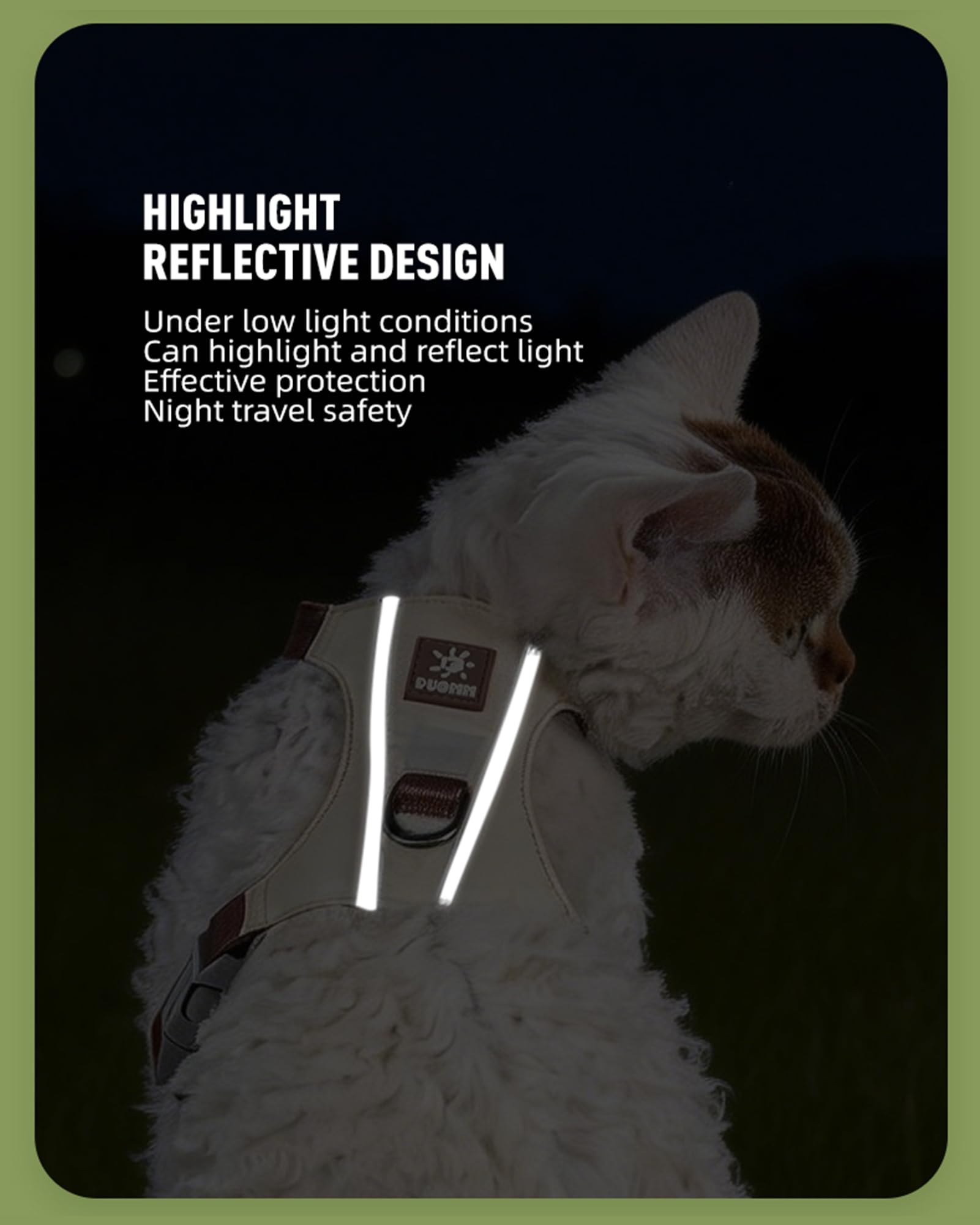 Comfortable Kitten Harness for Outdoor Walking
