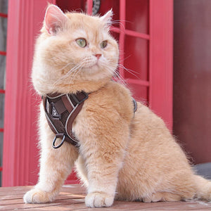 Brown Cat Harness Vest for Outdoor Adventures