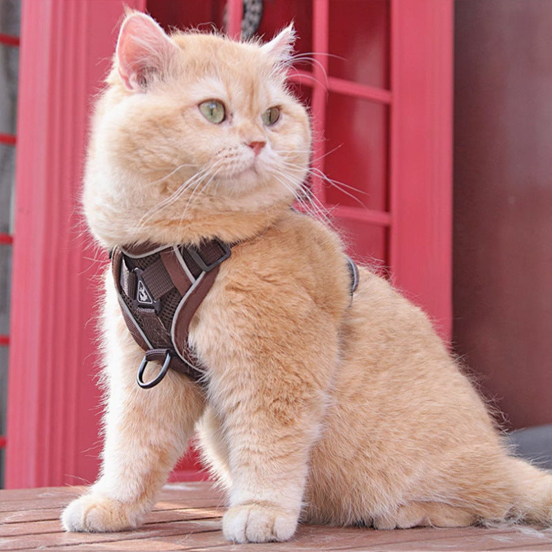 Brown Cat Harness Vest for Outdoor Adventures