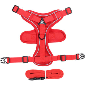 Cat Harness with Adjustable Chest and Body Straps
