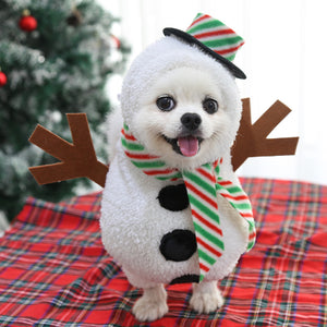 Christmas pet outfit for adorable holiday moments