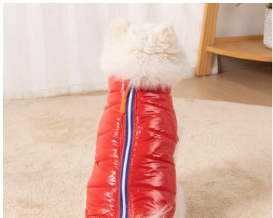 Green casual dog jacket for winter wear